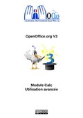 Cours d’utilisation avancée d’OpenOffice Calc