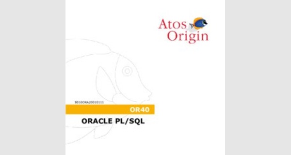 Tutoriel de Oracle PL/SQL 