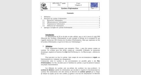 Cours Système d'information 