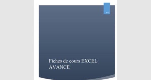 Support de cours Excel 2013 
