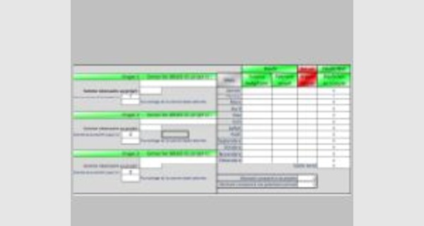 Application Excel sur la gestion de budget