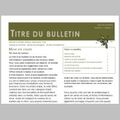 Modèle de bulletin d'information sur Word