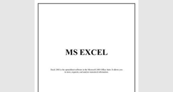 Microsoft EXCEL lessons for high school