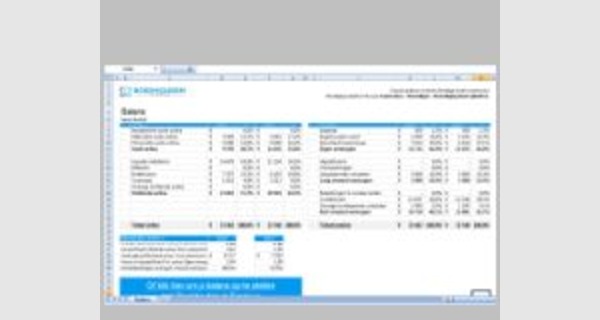 Advanced Excel template accounting