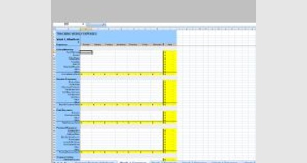 Excel template to track income and expenses