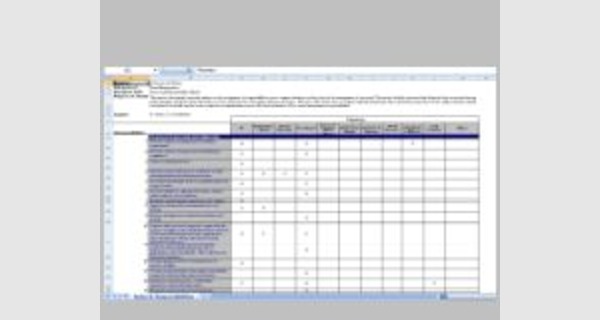 Excel template roles and responsibilities