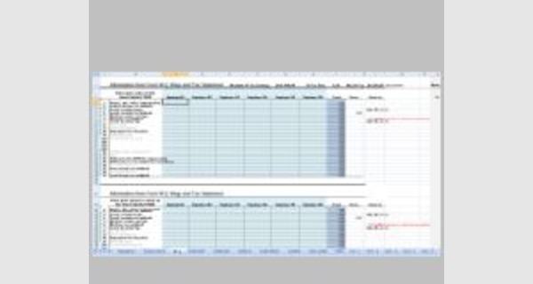 Microsoft Excel tax spreadsheet template