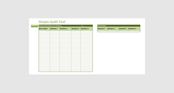 Excel spreadsheet template for auditing