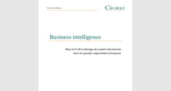 Debuter avec la business intelligence support de formation detaille
