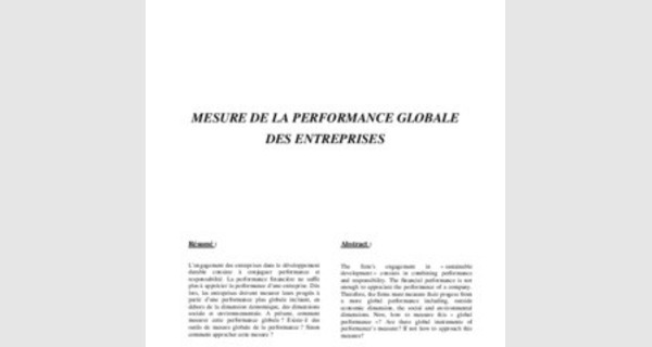 Document de cours avance sur  la mesure de la performance globale des entreprises