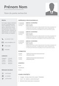 Modèle de CV suisse professionnels sur Word