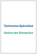 Technicien Spécialisé Gestion des Entreprises