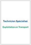 Technicien Spécialisé Exploitation en Transport