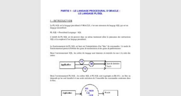 Cours de PL/SQL problèmes du mode programme