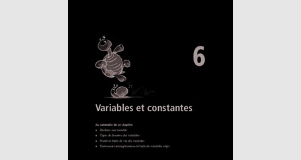 Apprendre à créer des programmes avec le langage Visual Basic