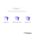Guide de développement avancé avec FileMaker Go