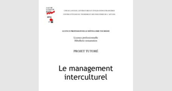 Introduction au management culturel cours complet