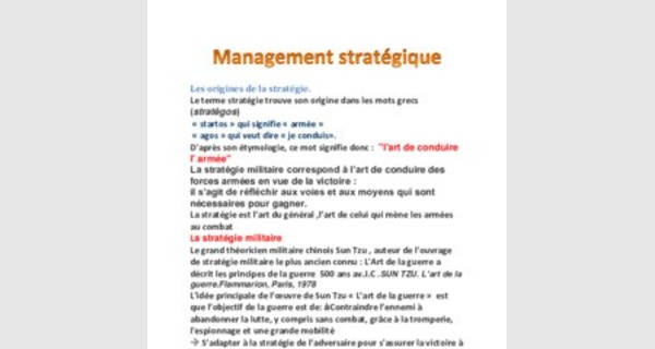 Management strategique cours complet