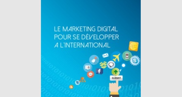 Manuel sur le marketing digital et le developpement international