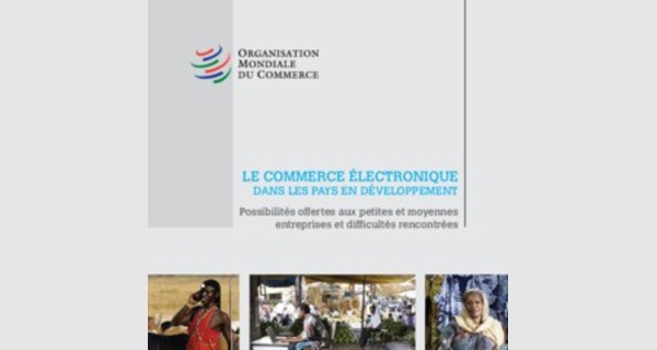 Guide de formation sur le commerce electronique dans les pays en developpement