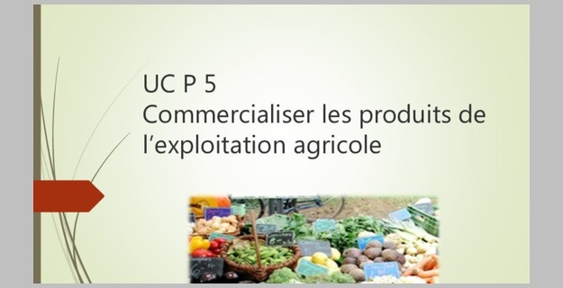 Cours De Mix Marketing Et Les 4p Le Produit Le Prix La Presence La Promotion Et La Publicite Cours De Mix Marketing Et Les 4p Le Produit Le Prix La Presence La Promotion Et La Publicite