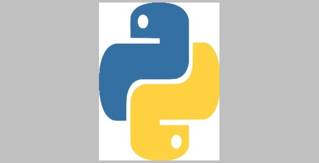 Best manual to learn the python language and go from beginner to expert