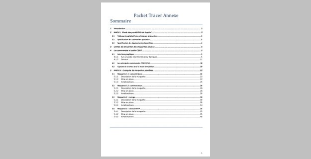 Cours Packet Tracer Annexe 