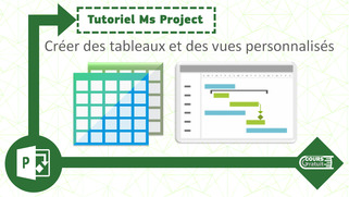 Tuto Ms Project : créer des tables et des vues personnalisées