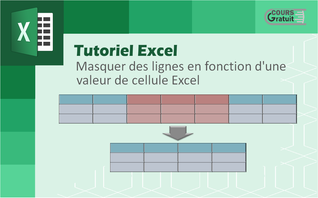 Comment masquer des lignes en fonction d'une valeur de cellule Excel ?
